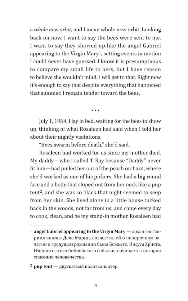 Тайная жизнь пчел. The secret life of bees | Книги на английском языке