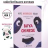 BOYA CHINESE Начальный уровень. Ступень 1. Справочник