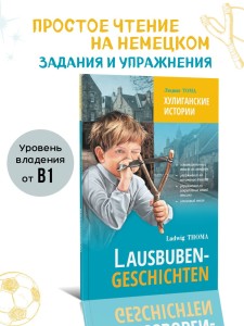 Хулиганские истории