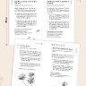 Корейские пословицы и поговорки и их русские аналоги