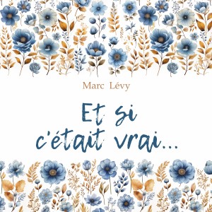 Аудиокнига. Et si cetait vrai. Между небом и землей