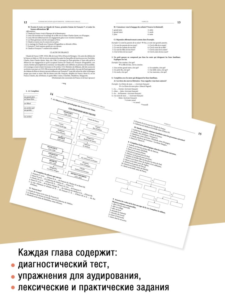 Французский язык. Повседневное общение. Практика устной речи