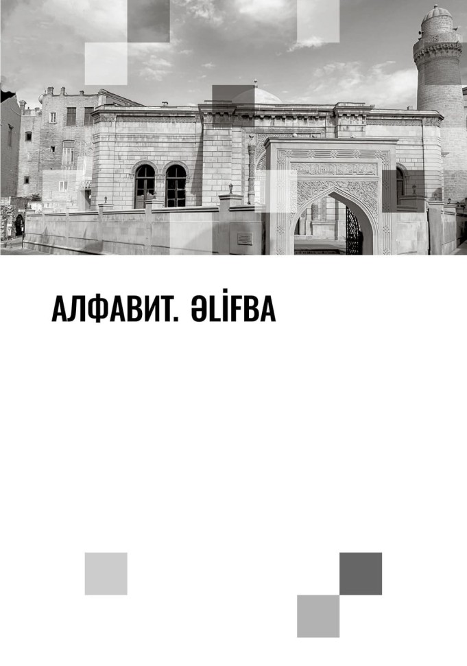 Азербайджанский язык. Базовый курс. Азербайджанский язык. Базовый курс.
