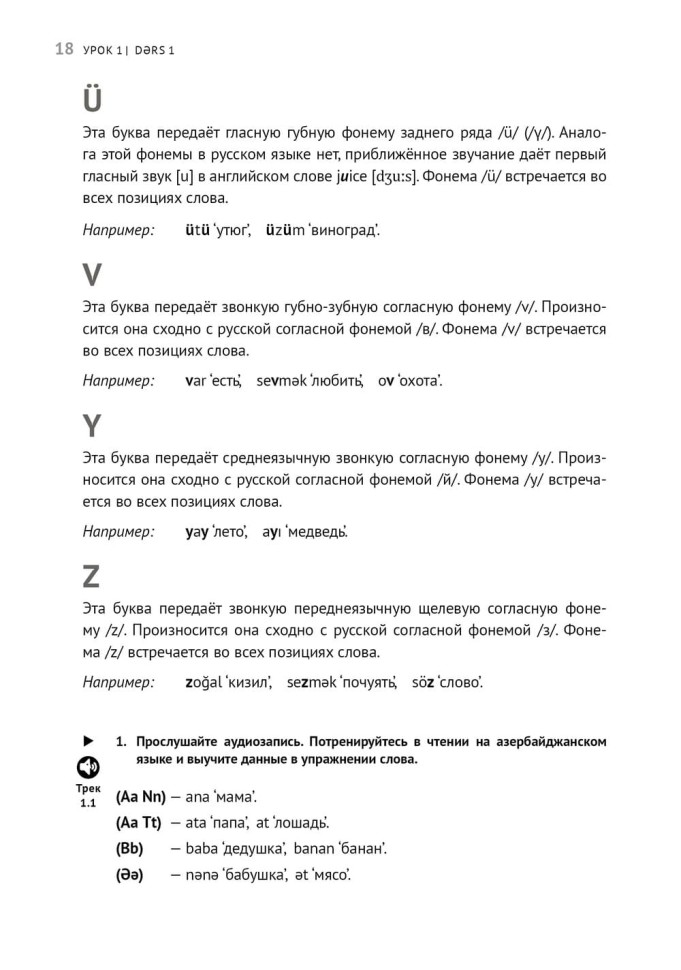 Азербайджанский язык. Базовый курс. Азербайджанский язык. Базовый курс.