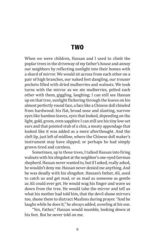 Бегущий за ветром. The Kite Runner | Книги на английском языке