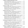 День рождения с тигром. Испанские сказки, солнечные и озорные. Простое чтение на испанском