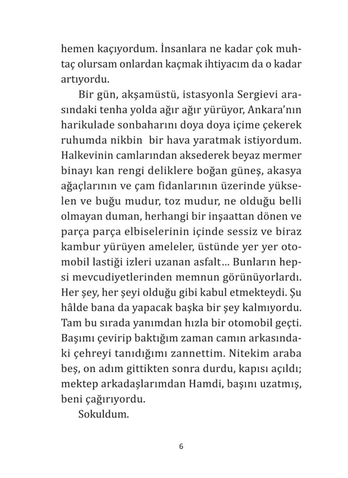 Мадонна в меховом манто | Турецкий