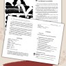 Сказки, знакомые с детства. Простое чтение на испанском / Cuentos Conocidos Desde la Infancia. Lectura Sencilla en Espanol | Книги на испанском языке