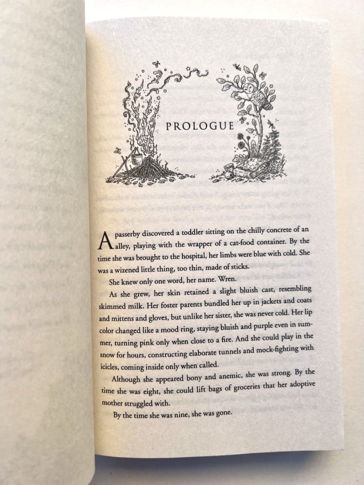 The Stolen Heir. Украденный наследник