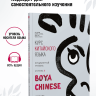 BOYA CHINESE Курс китайского языка. Продвинутый уровень. Ступень 2. Учебник