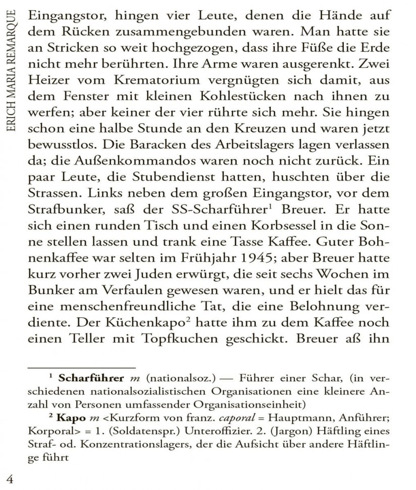 Искра жизни / Der Funke Leben | Книги на немецком языке