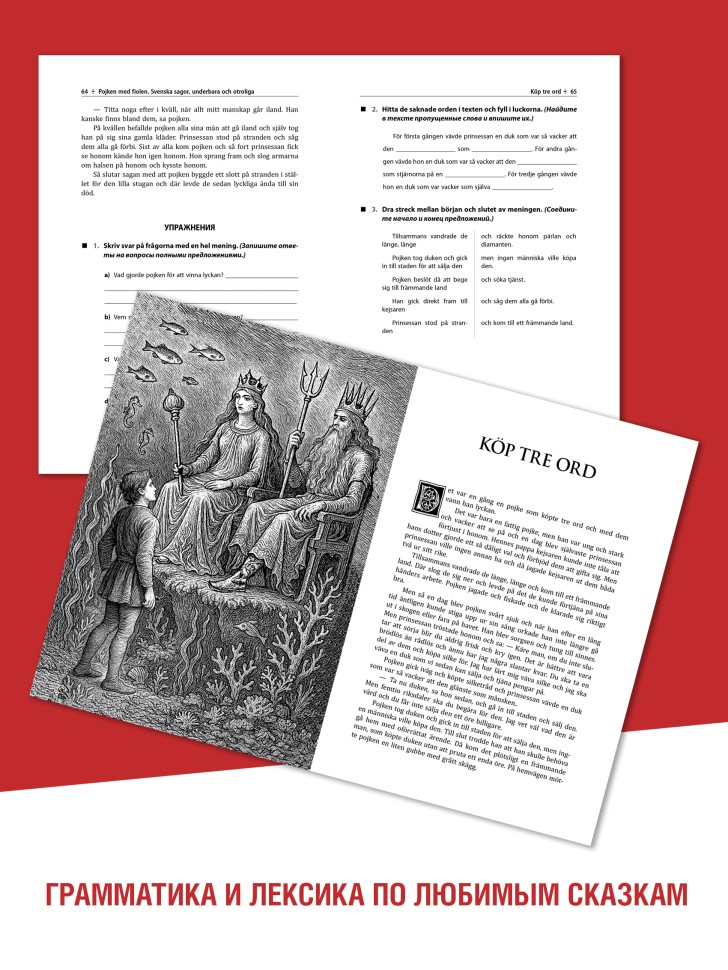 Мальчик со скрипкой. Шведские сказки, чудесные и невероятные