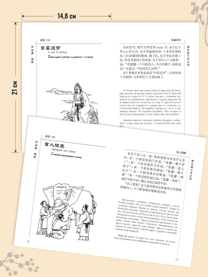 100 китайских идиом. Книга для чтения на китайском языке
