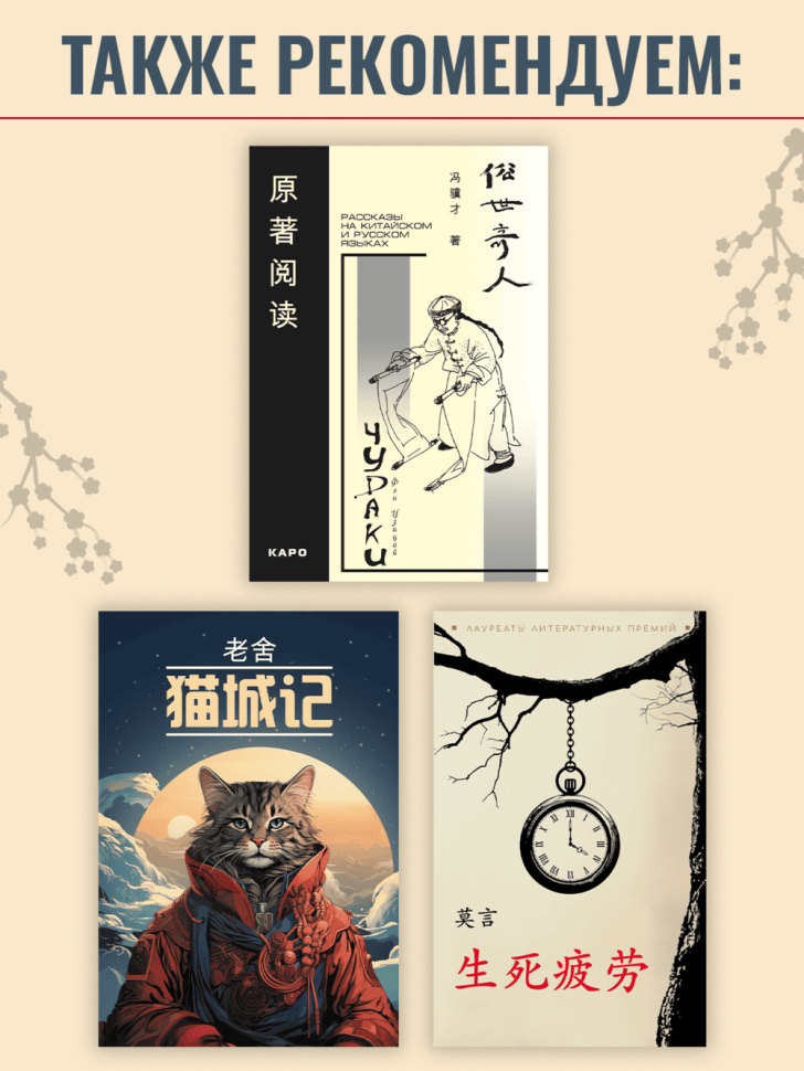 100 китайских идиом. Книга для чтения на китайском языке