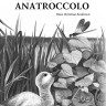Волшебные сказки на итальянском языке. Адаптированное чтение. Fiabe Italiane Magich