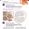 Комплект. Зоо-квест. Прогулка по архитектурному зверинцу Петербурга. Метро-квест. Прогулка по Петербургскому метро с котом Рыжиком | Познавательные книги для детей