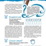 Комплект. Зоо-квест. Прогулка по архитектурному зверинцу Петербурга. Метро-квест. Прогулка по Петербургскому метро с котом Рыжиком | Познавательные книги для детей