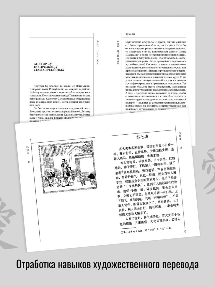Чудаки. Книги на китайском языке | Книги на китайском языке