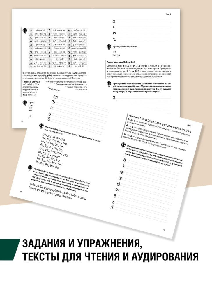 Грузинский язык. Базовый курс