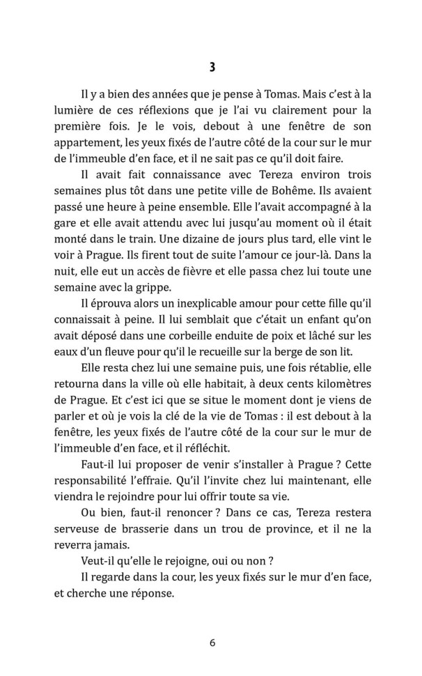 Невыносимая легкость бытия. L'insoutenable Legerete de L'etre | Книги на французском языке